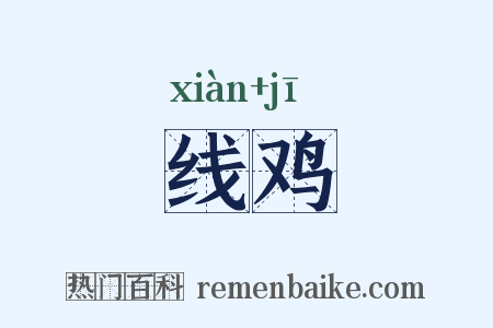 线鸡是什么意思的图片